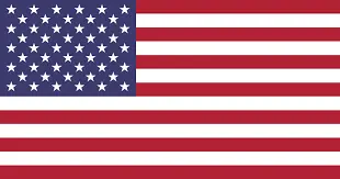 american flag-Austintown