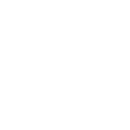 ce logo Austintown