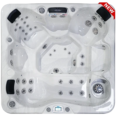 Avalon-X EC-849LX hot tubs for sale in Austintown
